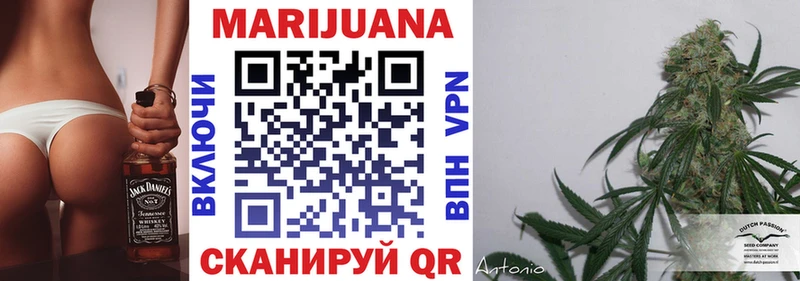 где купить   Александровское  Марихуана сатива 